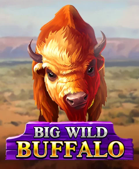 Play Big Wild Buffalo at Raj Bet Casino